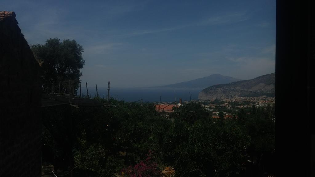 Patrizia Casa Vacanze Sant'Agnello Eksteriør bilde